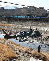 Güney Kore’de askeri helikopter yere çakıldı