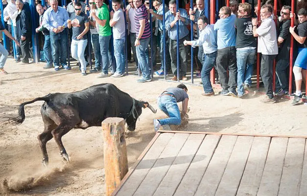 Boğa'nın gazabına uğradı