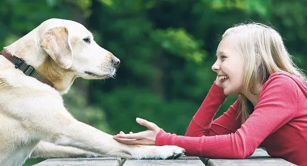 Ya hayvanlarla konuşmaya başlarsak? – YÜKSEL AYTUĞ