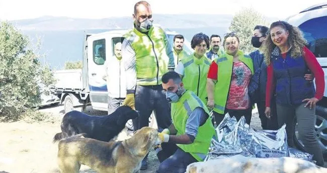 Minik yüreklerin büyük sevgisi