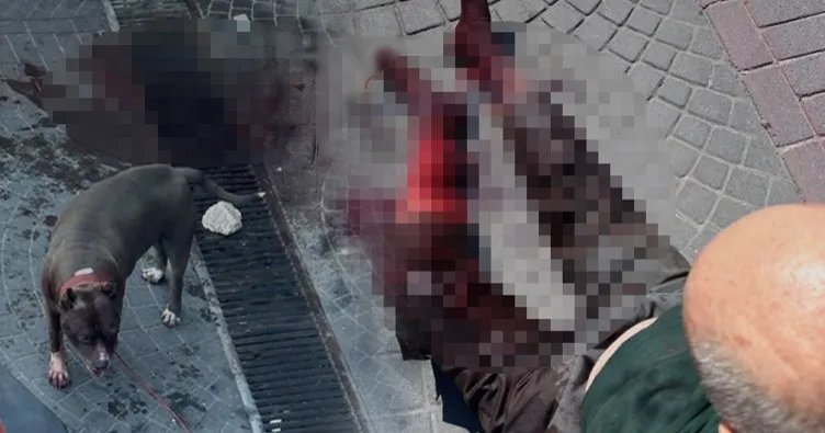 İstanbul’da pitbull dehşeti! Talihsiz adam ağır yaralandı