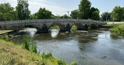 Belediyenin kanalizasyon suları Tunca'ya akıyor #edirne