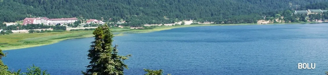 Bolu