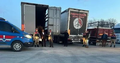 Ağrı’dan çalınan 300 koyun Bitlis’te yakalandı #agri