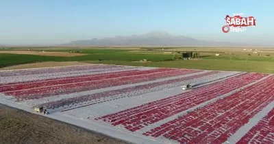 Erciyes’in etekleri kırmızıya boyandı | Video
