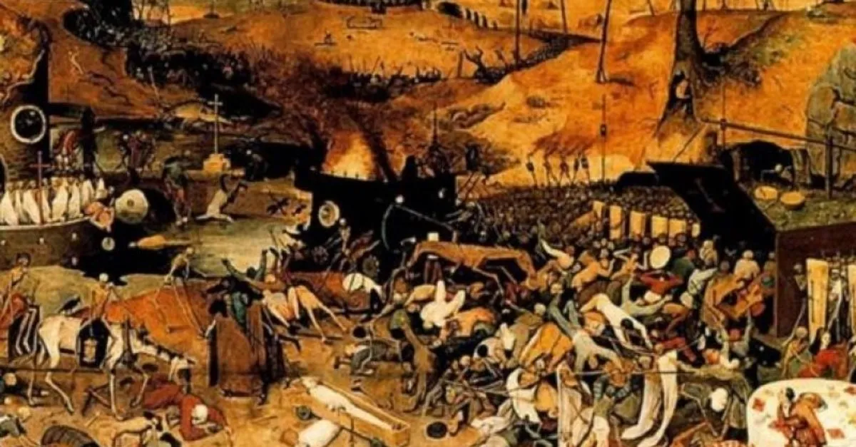 timar sistemi nedir timar sistemi ozellikleri ve faydalari son dakika haberler