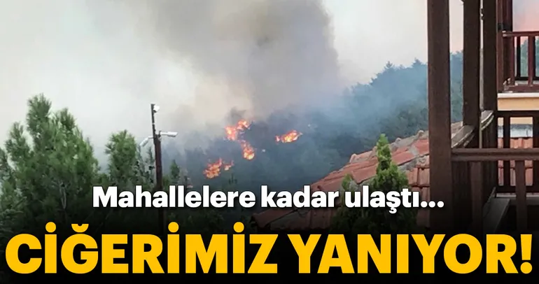 Hatay’da korkutan orman yangını!