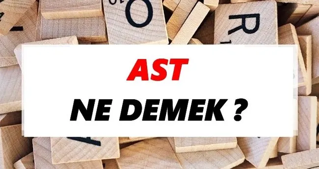 Ast Ne Demek? TDK’ya Göre Ast Sözlük Anlamı Nedir?