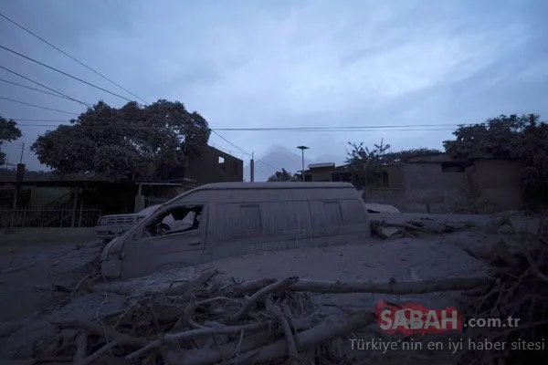 Korkunç görüntüler ortaya çıktı