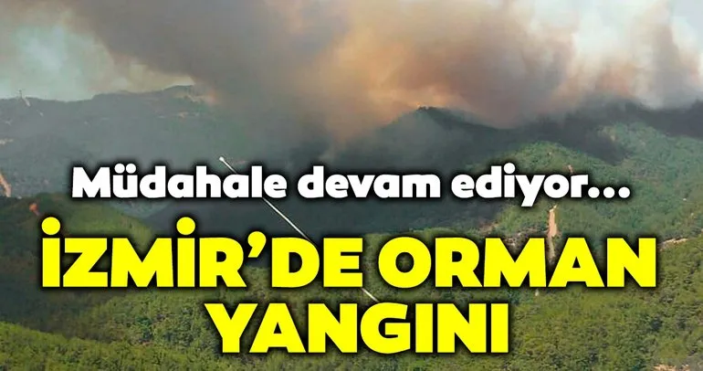 Son dakika: İzmir Karabağlar’da orman yangını çıktı! Yangını söndürme çabaları devam ediyor