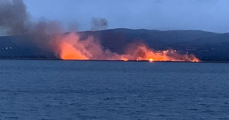 İznik Gölü’nün sazlıklarında yangın çıktı