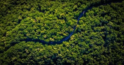 Lost dizisi gerçek oldu! Düşen uçakta 17 gün sonra 11 aylık bebek ve üç çocuğun izine rastlandı