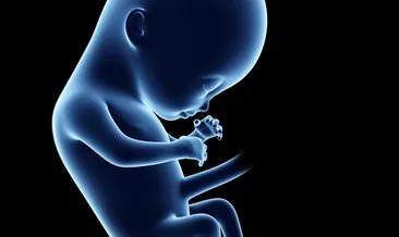 24. 6. ay bedeninizde meydana gelecek değişiklikler hafta hamilelik belirtileri nelerdir?