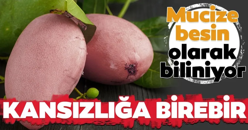 Iste Kansizliga Iyi Gelen Besin Saglik Haberleri