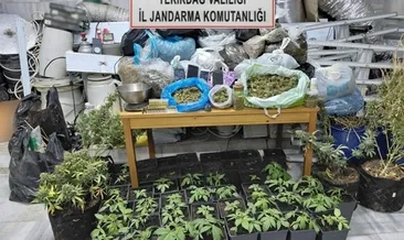 Tekirdağ'da eve kurduğu sistem pes dedirtti! Kaçak elektrikle uyuşturucu serası kurmuş... #tekirdag