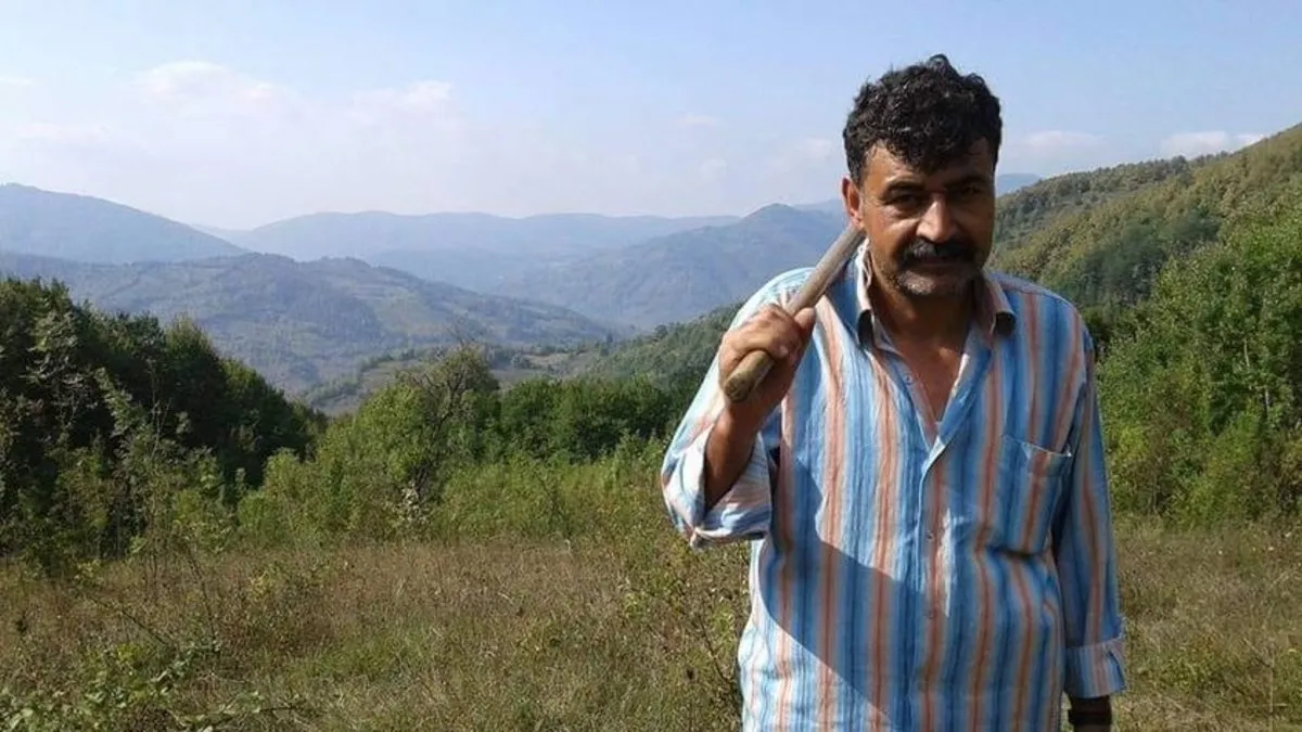 Orman işçisi kestiği ağacın altında kalarak hayatını kaybetti