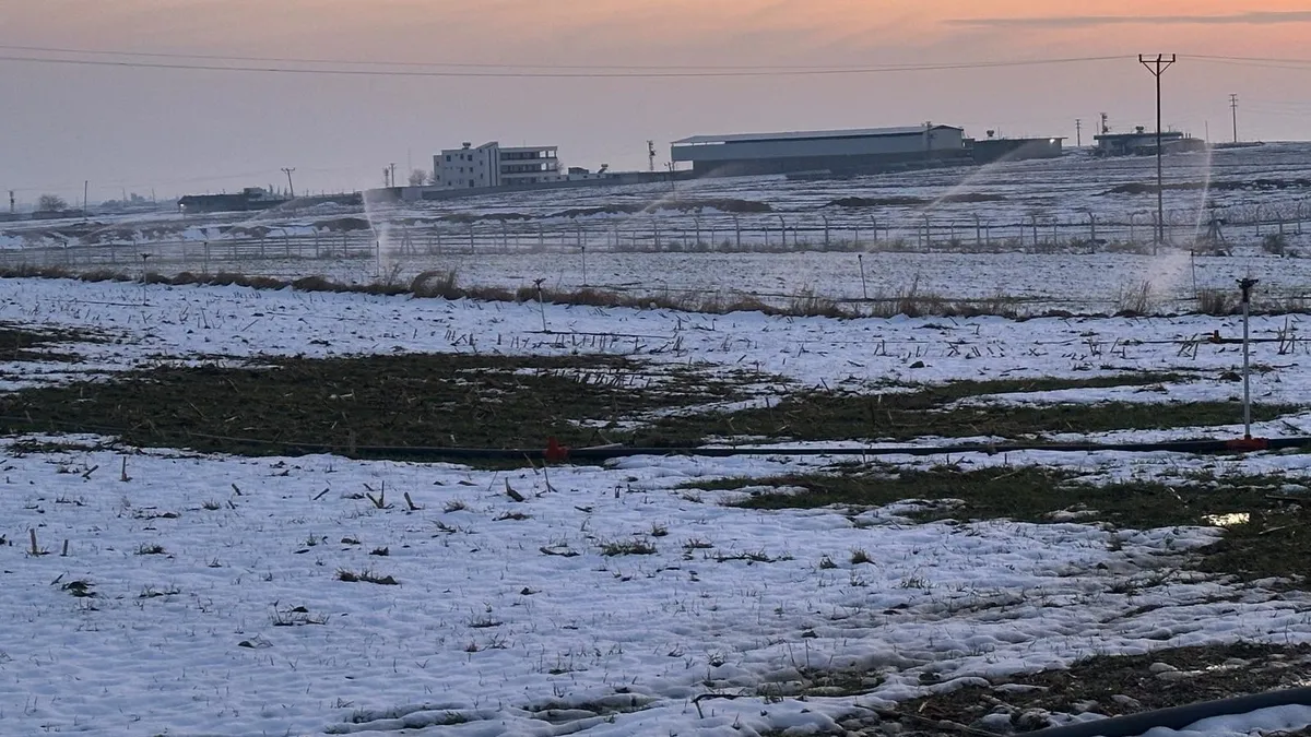 Karla kaplı arazide kaçak elektrikle sulama! Karla kaplı arazide kaçak elektrikle sulama!
