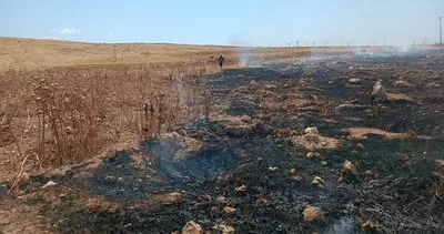 Nusaybin’de kırsal alanda çıkan yangın buğday ekinlerine sıçramadan söndürüldü #mardin