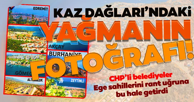 Kaz Dağları’ndaki yağmanın fotoğrafı
