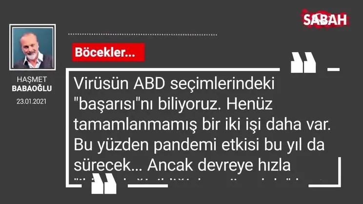Haşmet Babaoğlu | Böcekler...