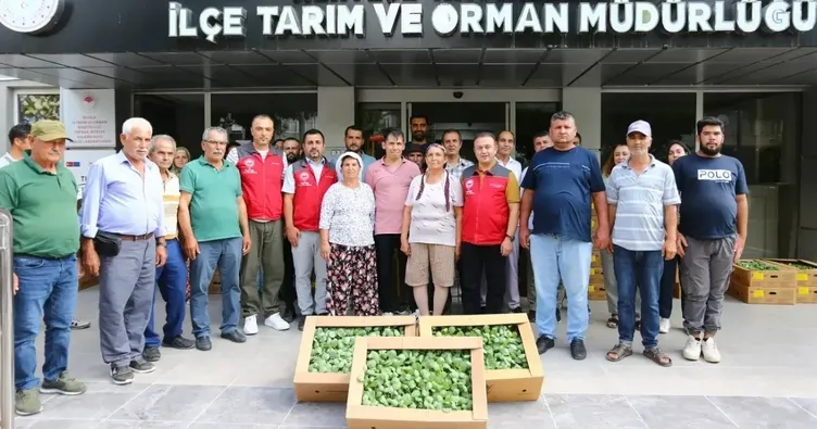 Muğla’da 162 bin fide üreticiyle buluştu