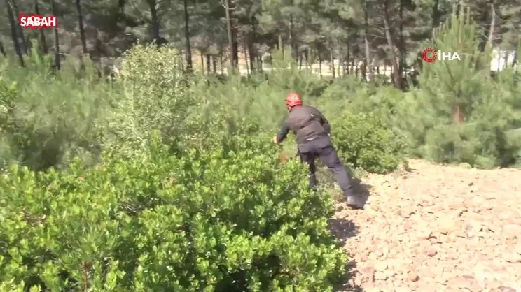 Pendik'te ormana girdikten sonra kaybolan şahıs bulundu | Video