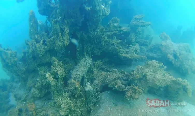 800 bin yıllık geçmişe sahip Van Gölü’nün derinliklerindeki kalıntılar gün yüzüne çıkartılıyor