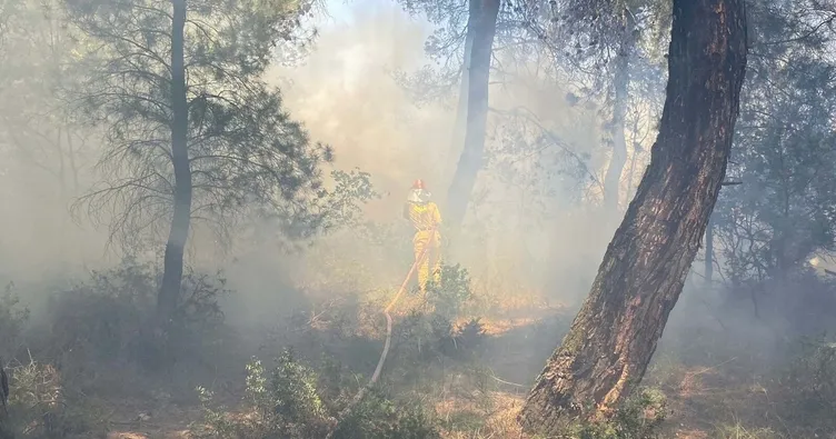 Çanakkale’de yangın paniği!