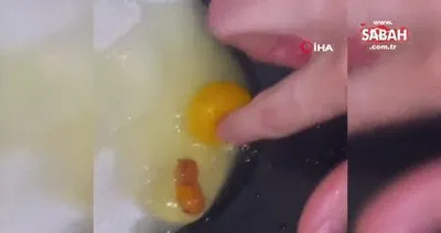 Marketten aldığı yumurtadan civciv embriyosu çıktı | Video