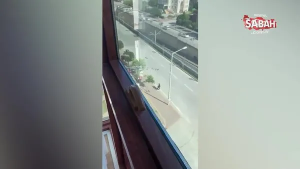 SON DAKİKA! AK Parti Çukurova ilçe binasına silahlı saldırı! İşte ilk görüntüler | Video