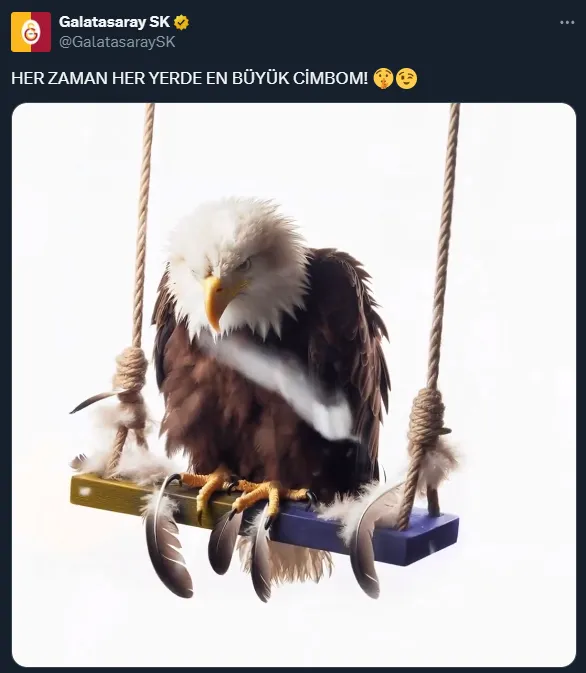 SON DAKİKA! Beşiktaş'tan Galatasaray'a 'salıncak' paylaşımı tepkisi! Başkan Hasan Arat'tan olay sözler...