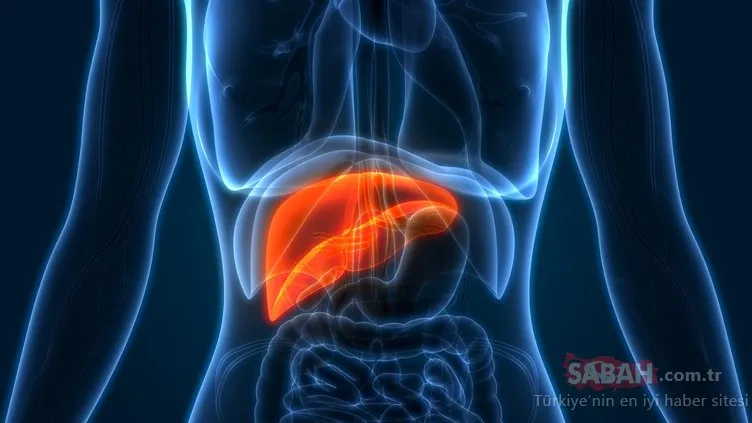 Karaciğer yağlanması nedir? İşte karaciğer yağlanması belirtileri... - Sayfa 2 - Sağlık Haberleri