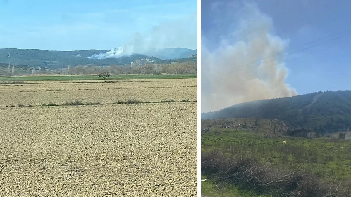 Çanakkale Gelibolu'da orman yangını