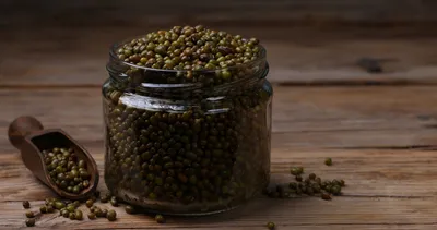 Her kaşığı enerji deposu! Halsizlik nedir unutacaksınız: B vitamini kaynağı o besin...