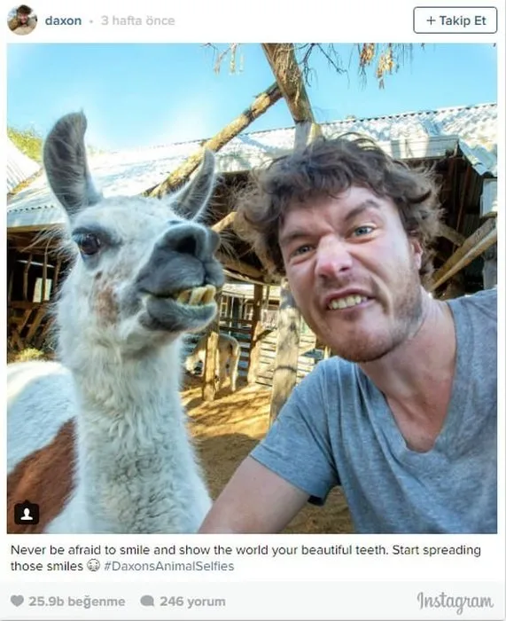 Mesleği hayvanlarla selfie çektirmek