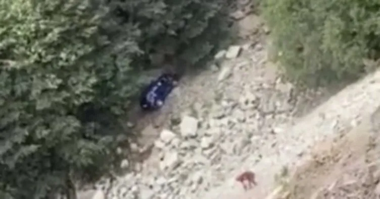 Fotoğraf çekmek için indiği araç uçuruma yuvarlandı, araçta bulunan kadın turist öldü