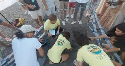 Muğla’da 30 bin caretta caretta yavrusu denizle buluştu #mugla