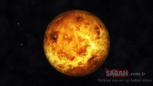 Bu gerçekler şoke ediyor