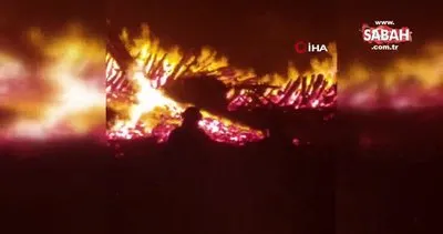 Şili’de orman yangını: 750 hektar küle döndü | Video