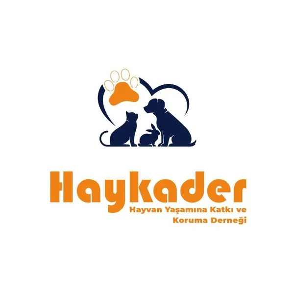 haykaderden-bakan-murat-kuruma-destek-sayin-bakanin-sozlerinin-carpitilmasi-kabul-edilemez-1649946065700.jpeg
