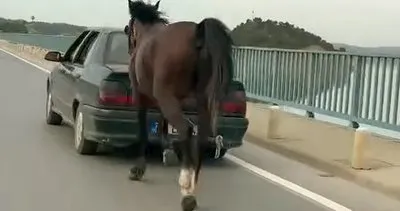 Ata eziyet eden 2 kişi tutuklandı #adana