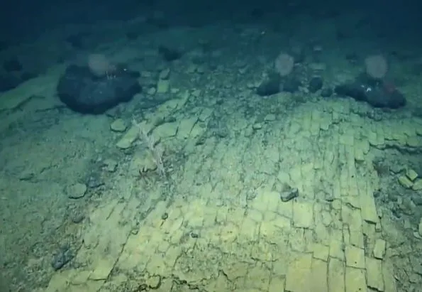 Okyanus dibinde gizemli yol! Bilim insanları şaşkın...