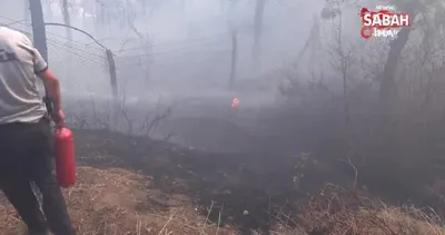 Çamlık alanda korkutan yangın