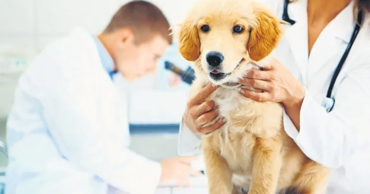 Dostlarımızı da kanserden kaybediyoruz