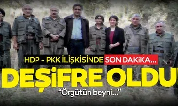 Son dakika haberi: PKK itirafçısından çarpıcı itiraflar! HDP işte böyle deşifre oldu...
