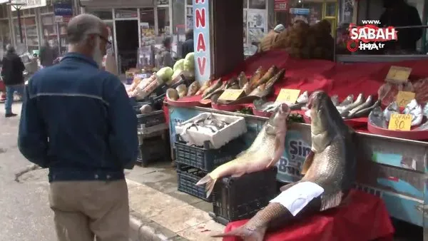 Elazığ'da sezonun son dev turna balığı yakalandı: 103 kilo | Video
