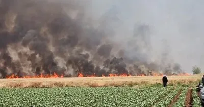 Viranşehir’de yangın faciası: 5 yaralı #sanliurfa