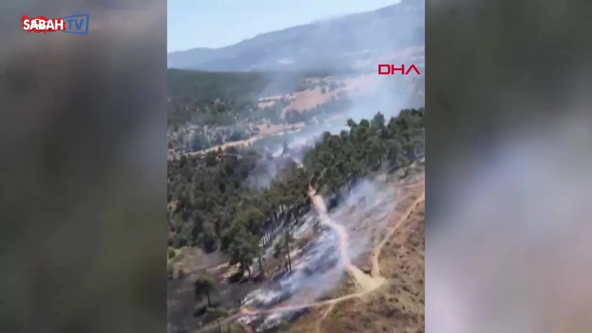 Bursa’da çıkan orman yangını 2,5 saatte kontrol altına alındı: Soğutma çalışmaları devam ediyor | Video videosunu izle Bursa’da çıkan orman yangını 2,5 saatte kontrol altına alındı: Soğutma çalışmaları devam ediyor | Video videosunu izle