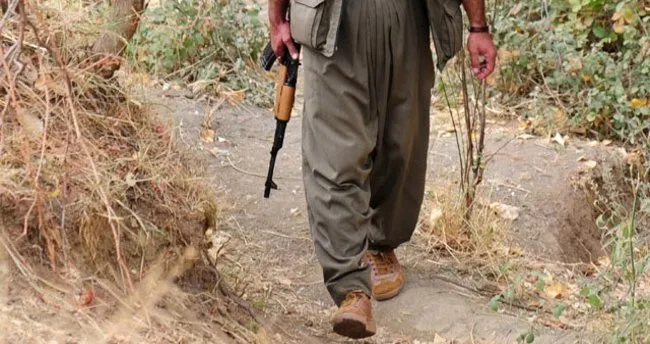 Tunceli’de 5 PKK’lının cesedi bulundu