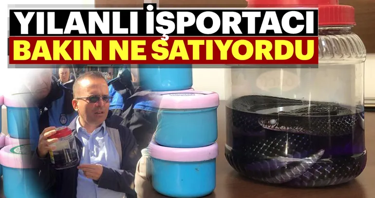 Mersin’de yılanı işportacı yakalandı